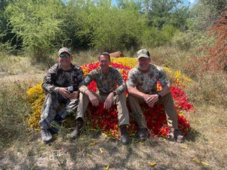 High volume dove hunting Argentina