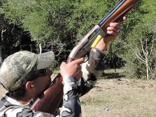 Dove hunting near Buenos Aires