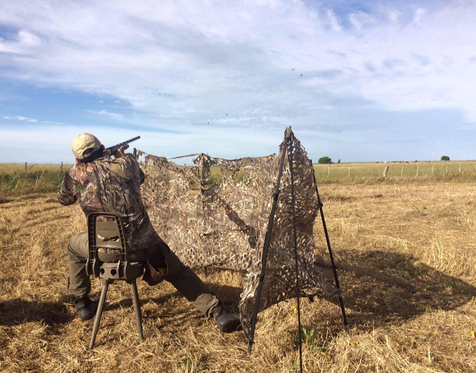 Best place to hunt doves in Argentina