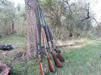 Gun Case Inspection